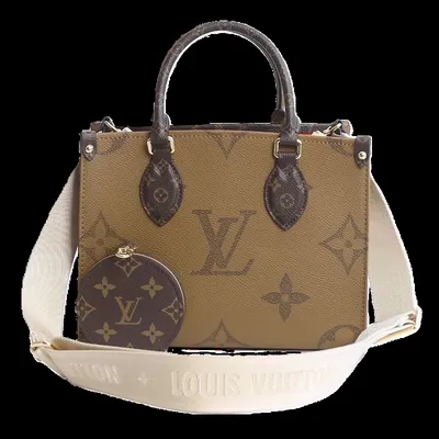 Louis Vuitton Bag