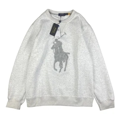 Ralph Lauren Hoodie 2+ colorways [Premium Quality]