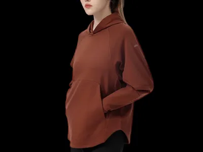Alo Hoodie