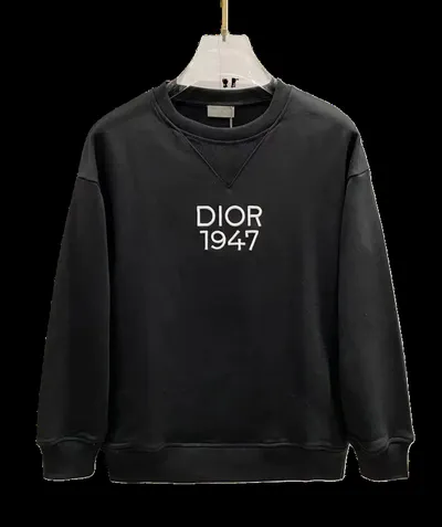 Dior Hoodie 4+ colorways [Premium Quality]