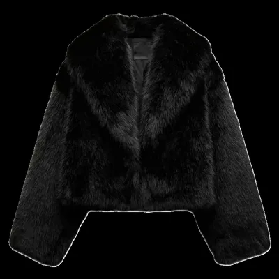 Zara Fur Jacket