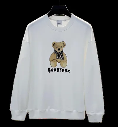 Burberry Hoodie 2+ colorways [Premium Quality]