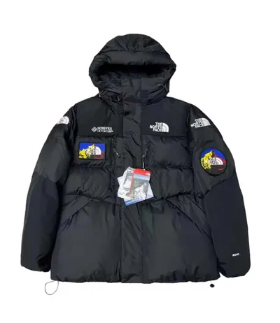 The North Face Down Jacket 1+ colorways [Premium Quality]