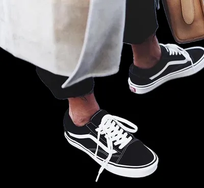 Vans Skate Shoes